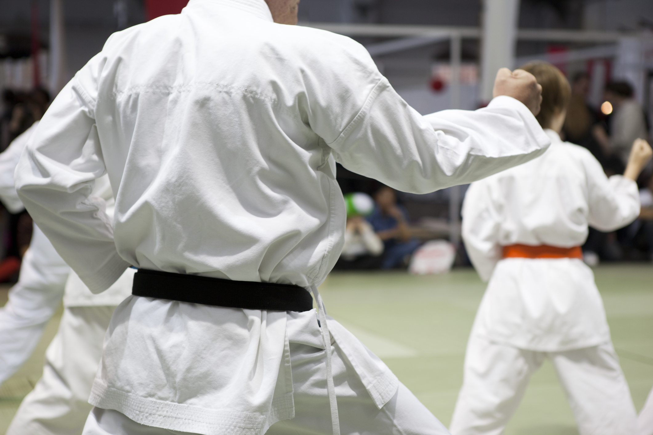 Traditional Shorin Ryu Karate