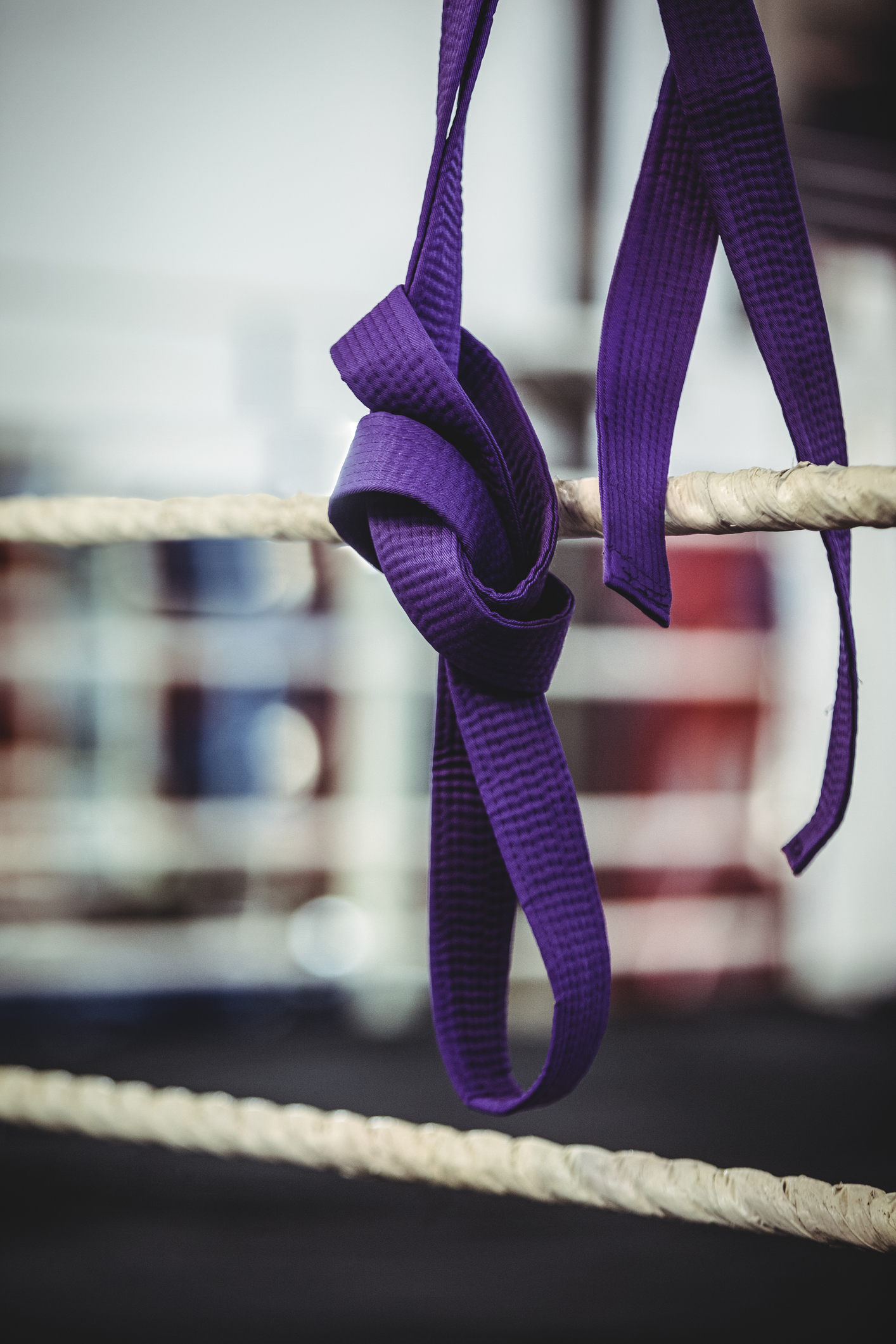 Purple Belt in Gracie Jiu Jitsu